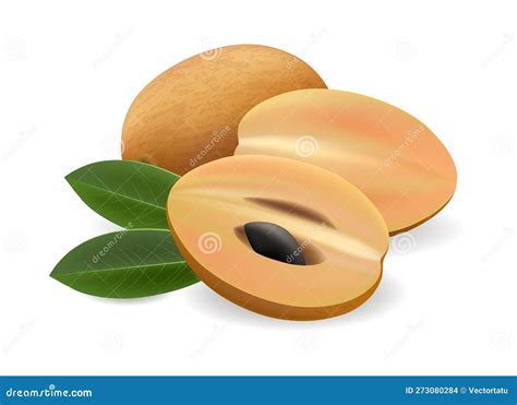 siko clipart|Chico (Tsiko): Well.